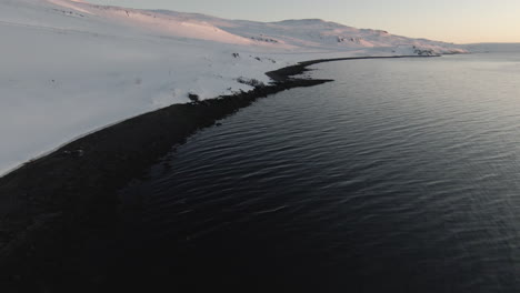 Fpv-dolly-above-snowy-black-sand-beach-shore-and-flying-seagull-bird