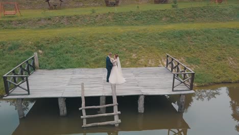 groom with bride near lake in the park. wedding couple. aerial shot