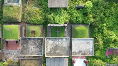 vista aérea de un cementerio cubierto de vegetación