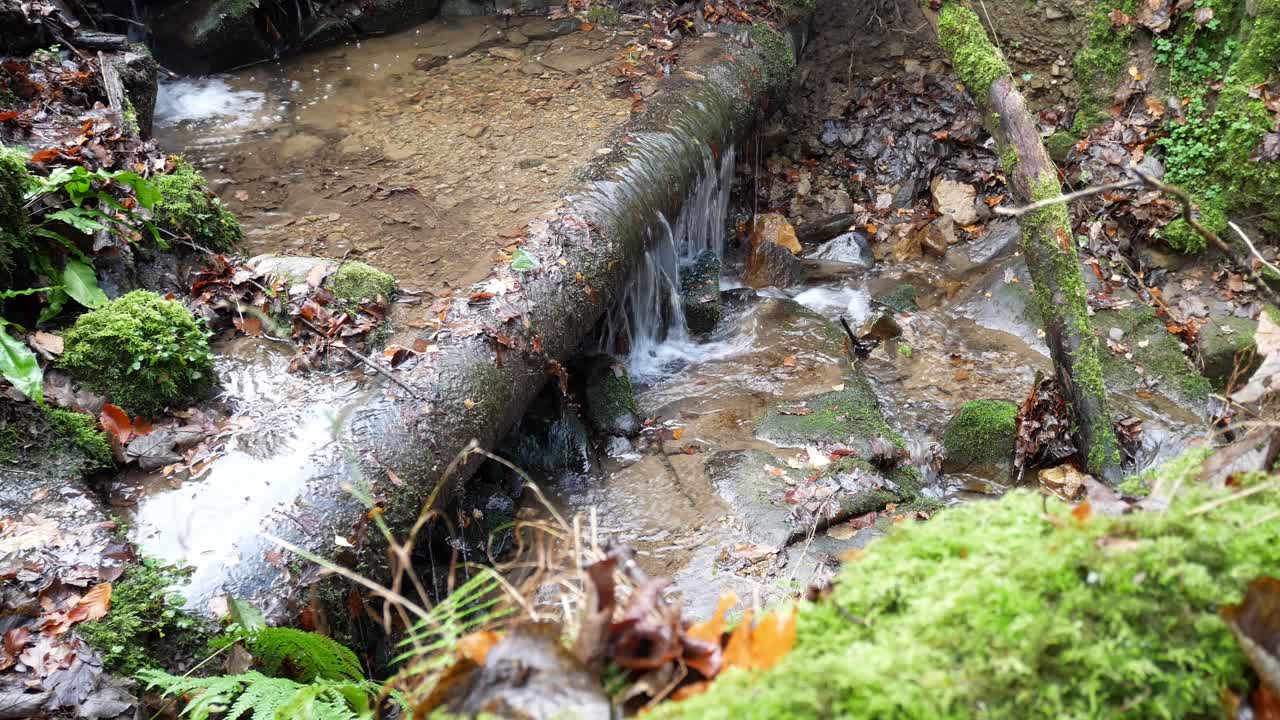 Refreshing flowing stream cascading off step in idyllic Autumn woodland lush foliage