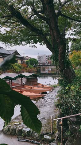 japanese canal scene in autumn