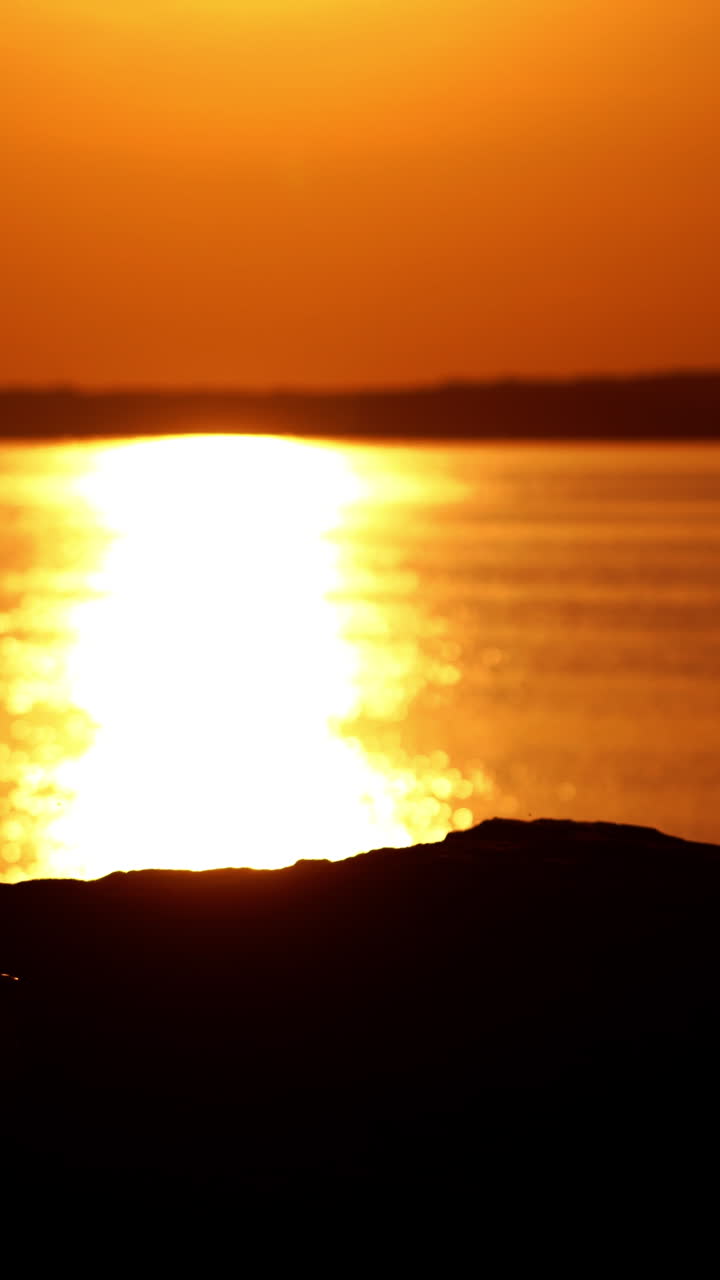 Man with bike outdoor. Athletic male tourist going downhill with mountain bike Vertical video