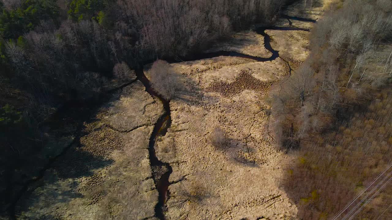 Aerial fly over winding river, bare trees mixed with evergreen foliage on brown terrain in spring. Forest edge with leafless trees and conifers along winding dark water stream, river. Natural patterns