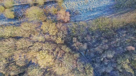 Vogelperspektive-Von-Oben-Auf-Den-Frostigen-Winterwald,-Der-Eine-Straße-Mit-Verkehr-überquert