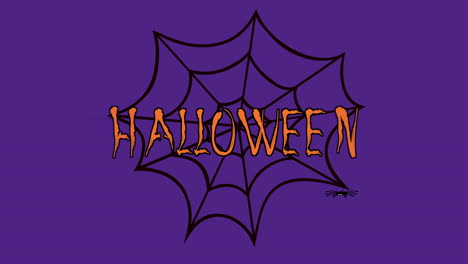 halloween con arañas y web en la noche