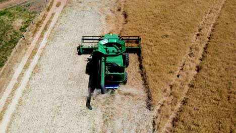 A-captivating-drone-descent-reveals-the-combine-harvester-in-action,-as-it-diligently-collects-precious-grain-from-the-bountiful-fields