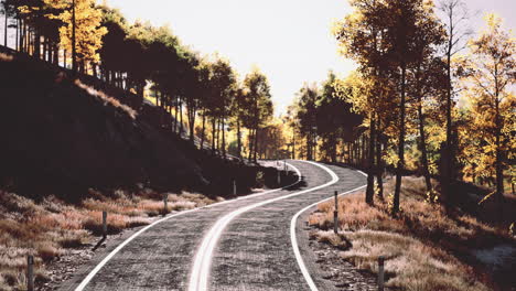 vista aérea de una carretera curva en un hermoso bosque de otoño