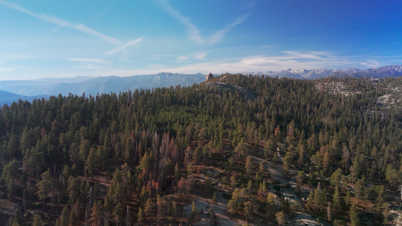Woodland Over Mountains In Sequoia National Park In California, United States. Aerial Drone Shot