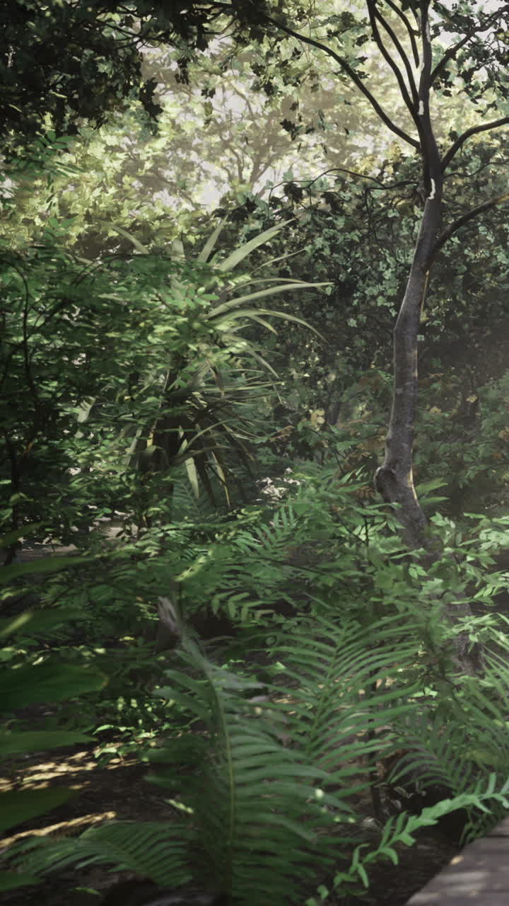 Piante verdi circondano un sentiero in una foresta durante le ore diurne nella natura.