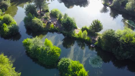 fishing pond surrounded with green lush vegetation in norfolk, england - aerial drone shot