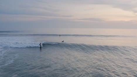 aerial: surfers riding waves at sunset off pacific coast in mexico