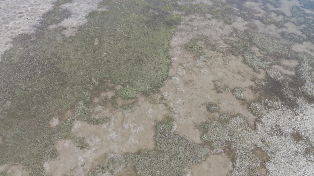 воздушный вид мелководья и мангровых лесов