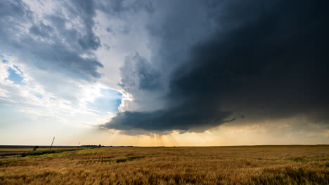 dramatic supercell storm over wheat field
