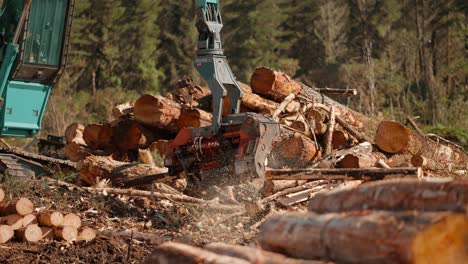 procesamiento de troncos con garra de máquina junto a pilas de madera, industria maderera de tala rasa