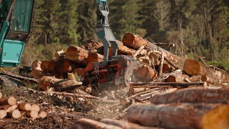 processing logs with machine claw next to wood stock pile, clearcutting logging industry