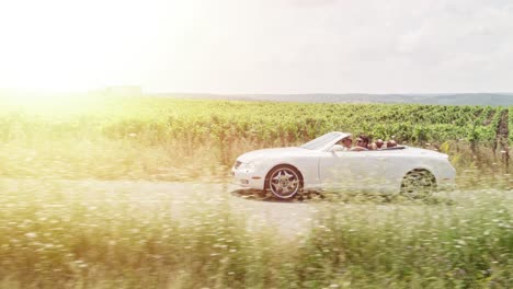 couple enjoying a scenic drive in a white convertible through a vineyard