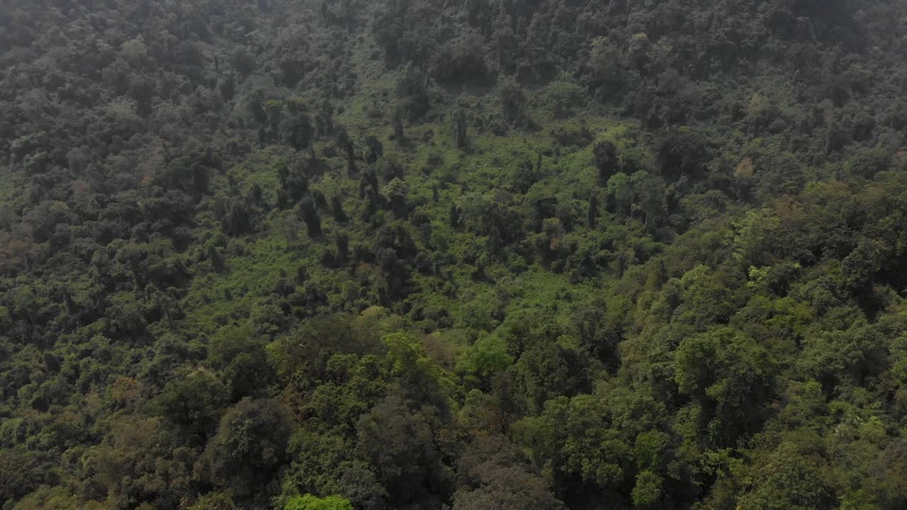 fotografía aérea de un bosque verde y exuberante en vietnam