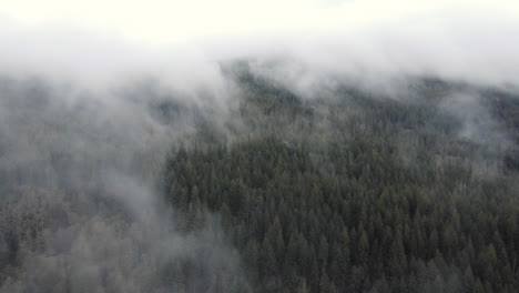 an drone push in as the fog clears over a dark green forest