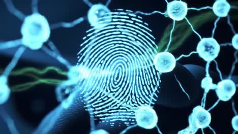 detailed examination of how fingerprints serve as unique identifiers in the digital world, highlighting their security applications and importance in forensics.