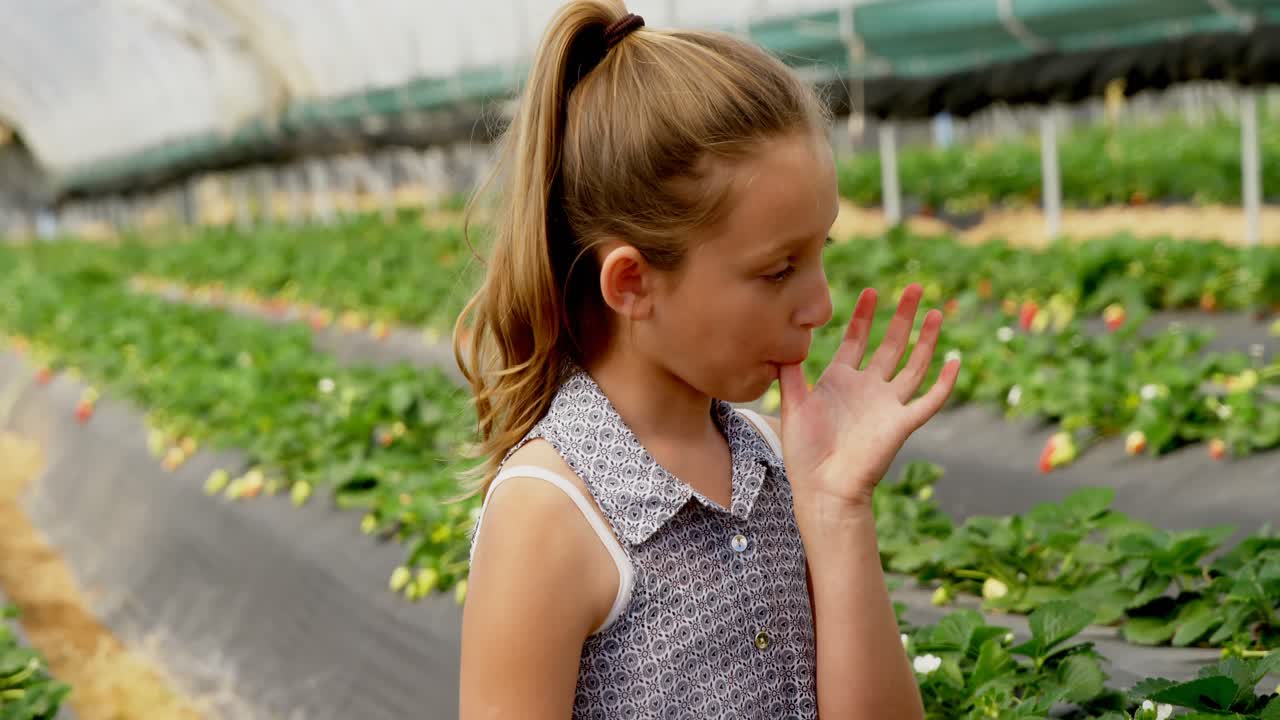 Ragazza che mangia una fragola nella fattoria 4k
