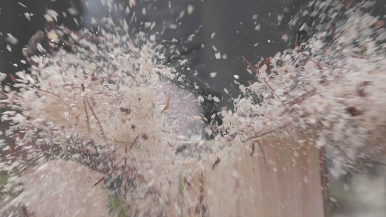 슬로우 모션으로 나무를 베는 도끼