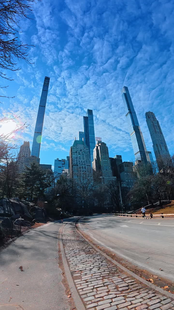 Skyscrapers loom over Central Park. Tall buildings tower above the park, showcasing a clear blue sky and winding pathways through the green space