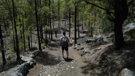 man and a girl hiking on a volcanic landscape forest path, tenerife, spain