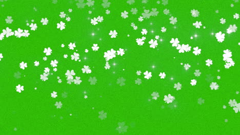 motion green shamrocks with saint patrick day 1