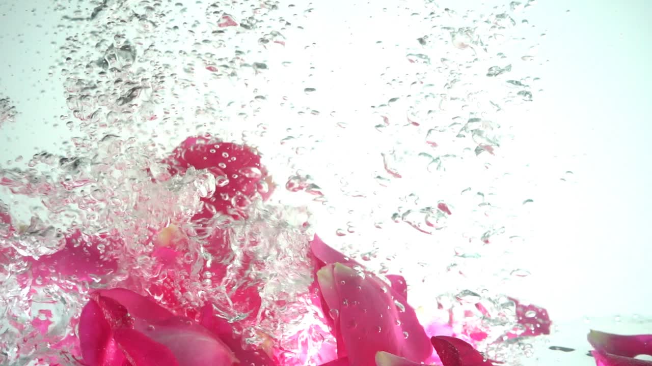 Petali di rose cadono nell'acqua. Sfondo. Movimento rallentato.