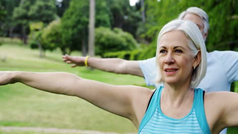 pareja de ancianos haciendo ejercicio en el parque