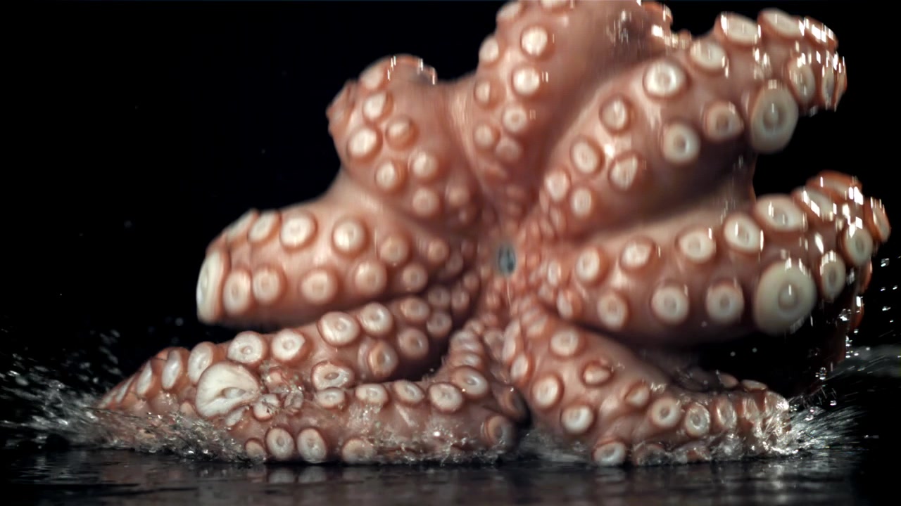 Tentacoli di polpo freschi che schizzano nell'acqua su sfondo nero