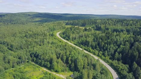 aerial view of winding road through green forest