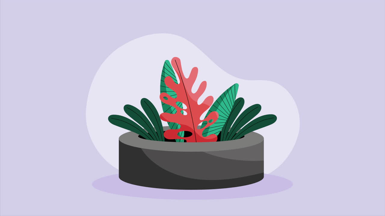 planta de interior en la animación de la olla gris