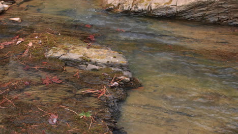 close up of a creek flowing over a slick rock surface past leaves and small stones along its side