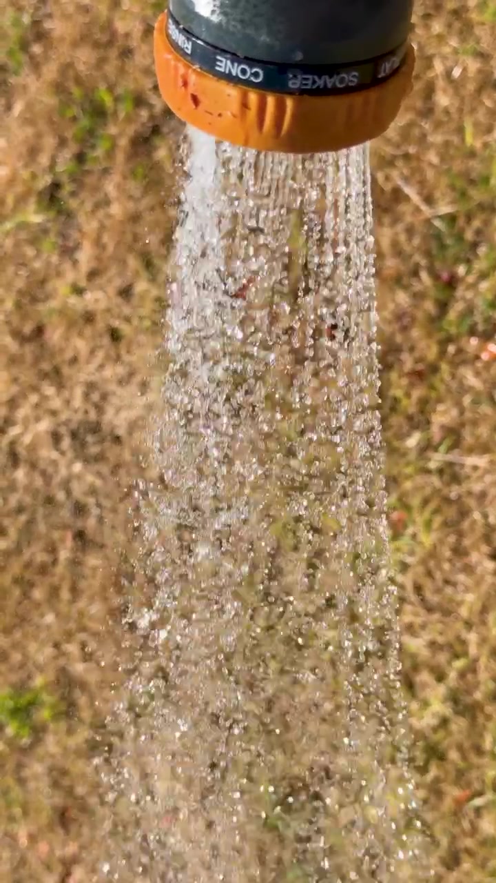 Um pulverizador de mangueira de jardim rega a grama seca ao ar livre, a luz do sol destaca as gotas de água, em uma visão aproximada e estável.
