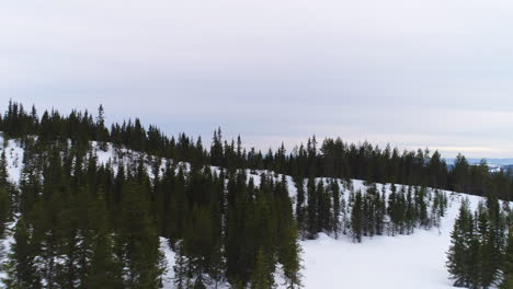 A-drone-reveal-of-a-beautiful-northern-winter-landscape