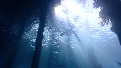 Video-De-Gran-Angular-Que-Captura-Los-Haces-De-Luz-Que-Atraviesan-Un-Embarcadero-De-Madera-En-El-Ambiente-Tropical-De-Raja-Ampat