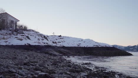 Pet-Dog-Sniffing-On-Snow-covered-Hill-Outside-A-Cabin-By-The-Lakeshore-At-Dusk