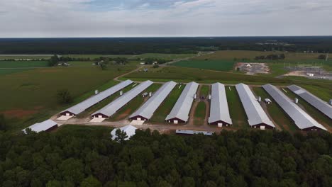 An-aerial-view-of-eight-long-farm-buildings,-parallel-to-each-other-with-metal-roofs