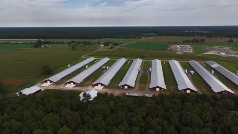 una vista aérea de ocho largos edificios agrícolas, paralelos entre sí con techos metálicos