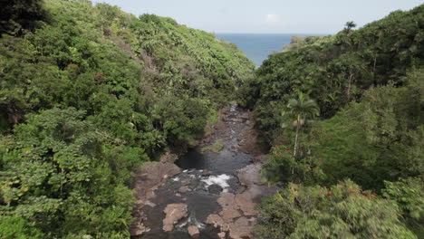 aerial tracking shot along jungle river that goes over waterfall