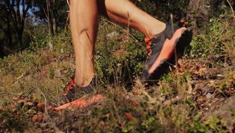 man hiking or trail running in nature