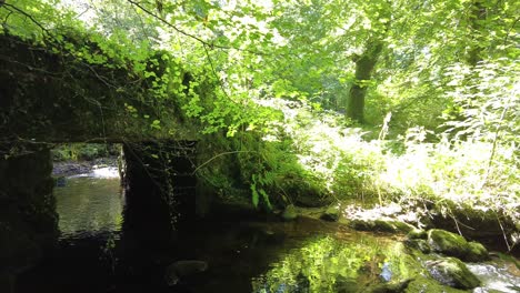 Panning-right-shot-of-a-small-bridge-over-a-stream-bathed-in-sunlight-on-Dartmoor-England