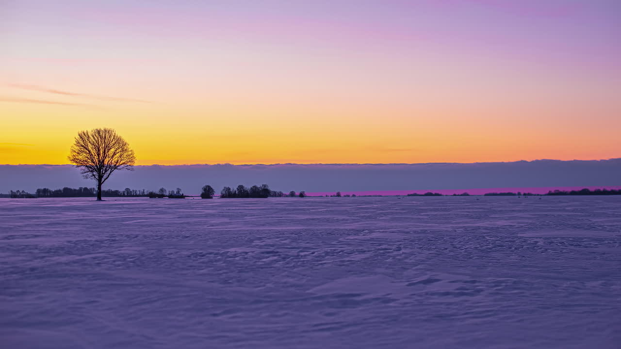 극적이고 활기찬 시골 겨울 장면