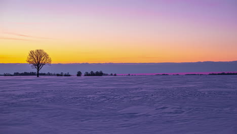 imágenes de invierno rural dramáticas y vibrantes