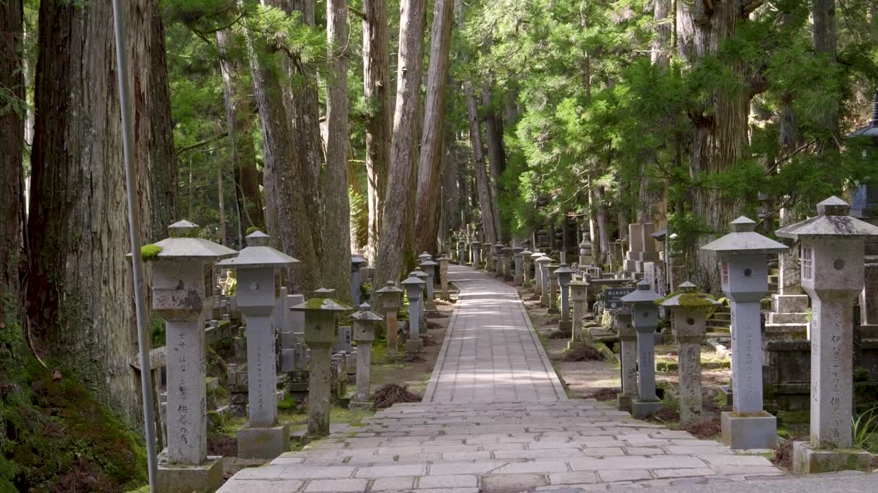 pov caminando por el templo de okunoin en japón con exuberante vegetación