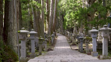 pov walking through okunoin temple in japan with lush greenery