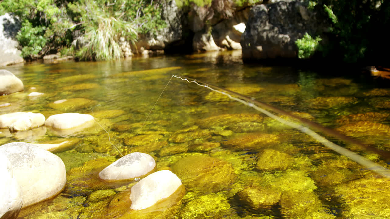 pescador poniendo la caña de pescar en el río