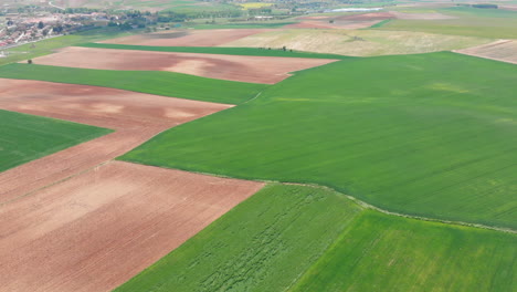 vista aérea de los campos agrícolas