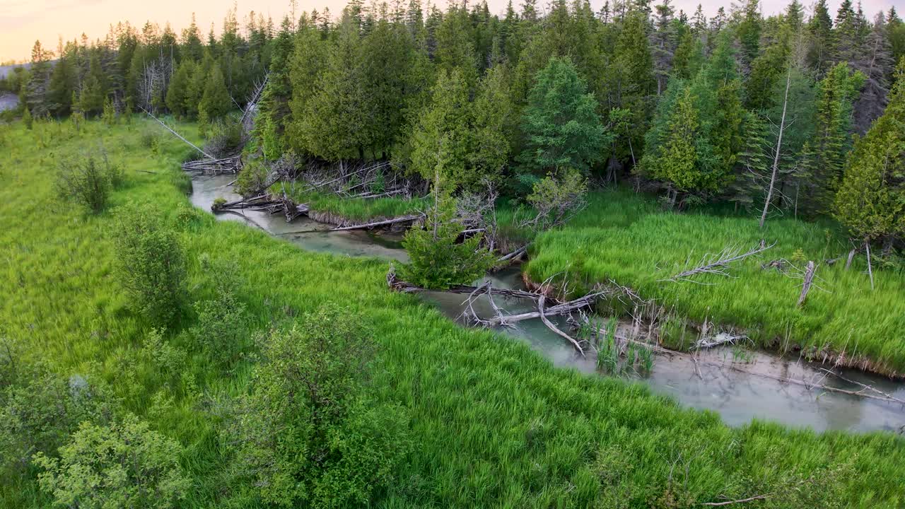Aerial drone footage of a clear mountain stream winding through a lush green forested landscape at sunset